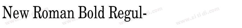 New Roman Bold Regul字体转换